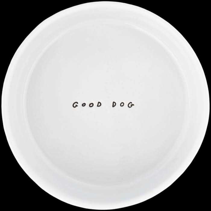 EveryYay Dining In Good Ceramic Dog Bowl - Healthber