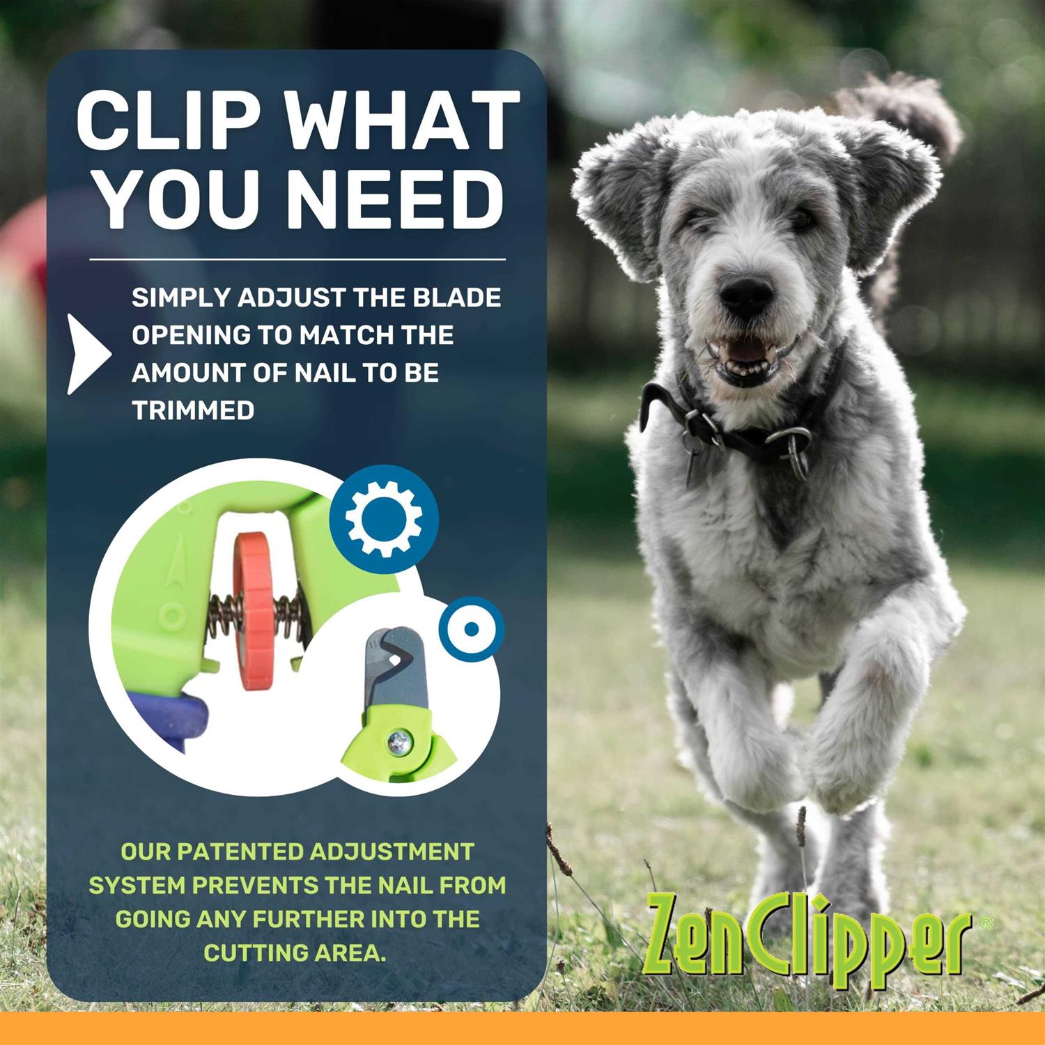 Zen Clipper Precise Junior Pet Nail Clipper - Healthber