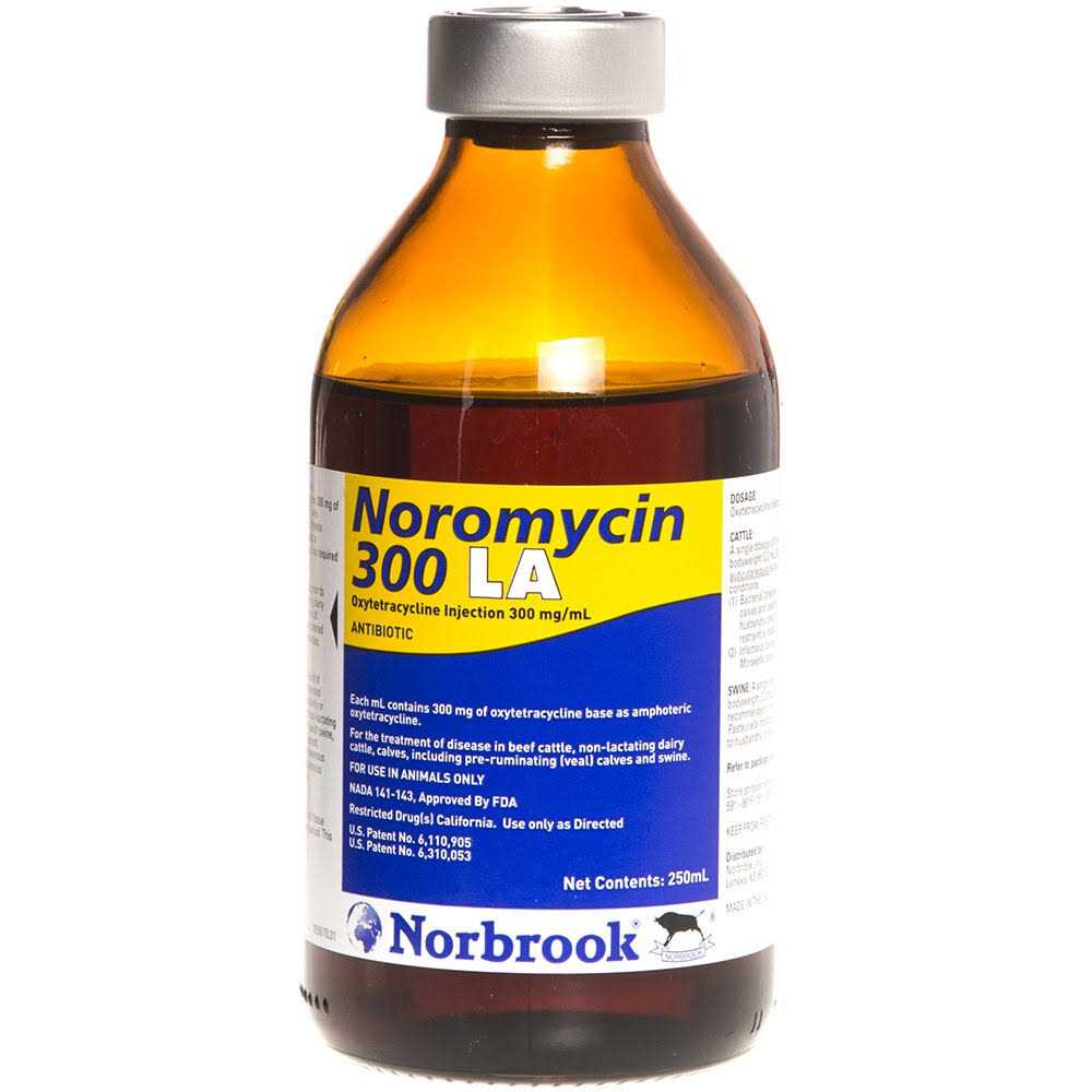 Norbrook Noromycin 300 LA - Healthber