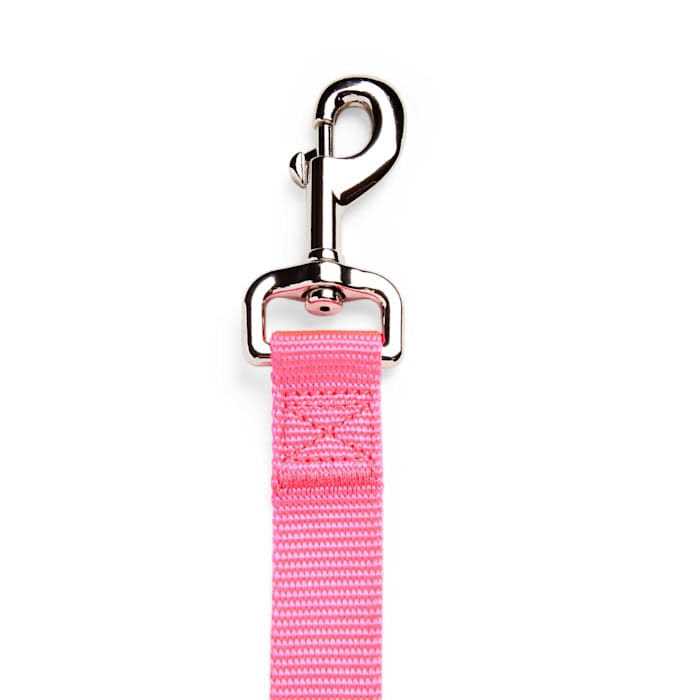 YOULY Dog Lead - Healthber