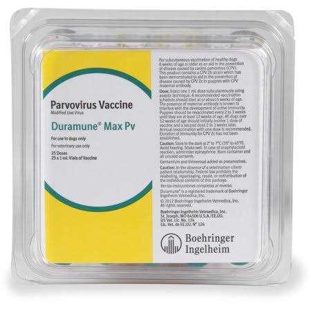 Rep Cal Phosphorus Free Calcium with Vitamin D3 - Healthber