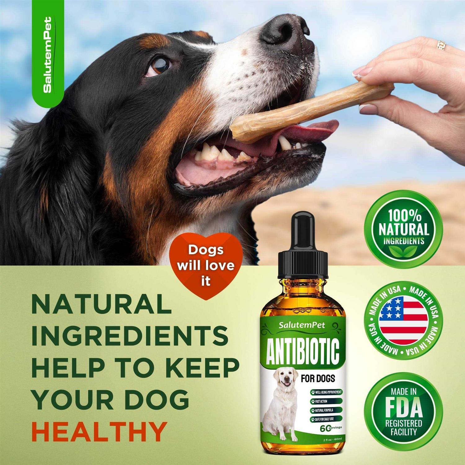 Natural Antibiotics for Dogs Dog Antibiotics Supports Dog Allergy Relief - Healthber