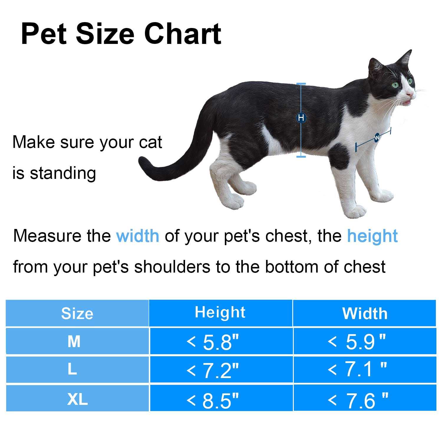 CEESC Cat Magnetic Pet Door 4 Way Lock for Cats and - Healthber