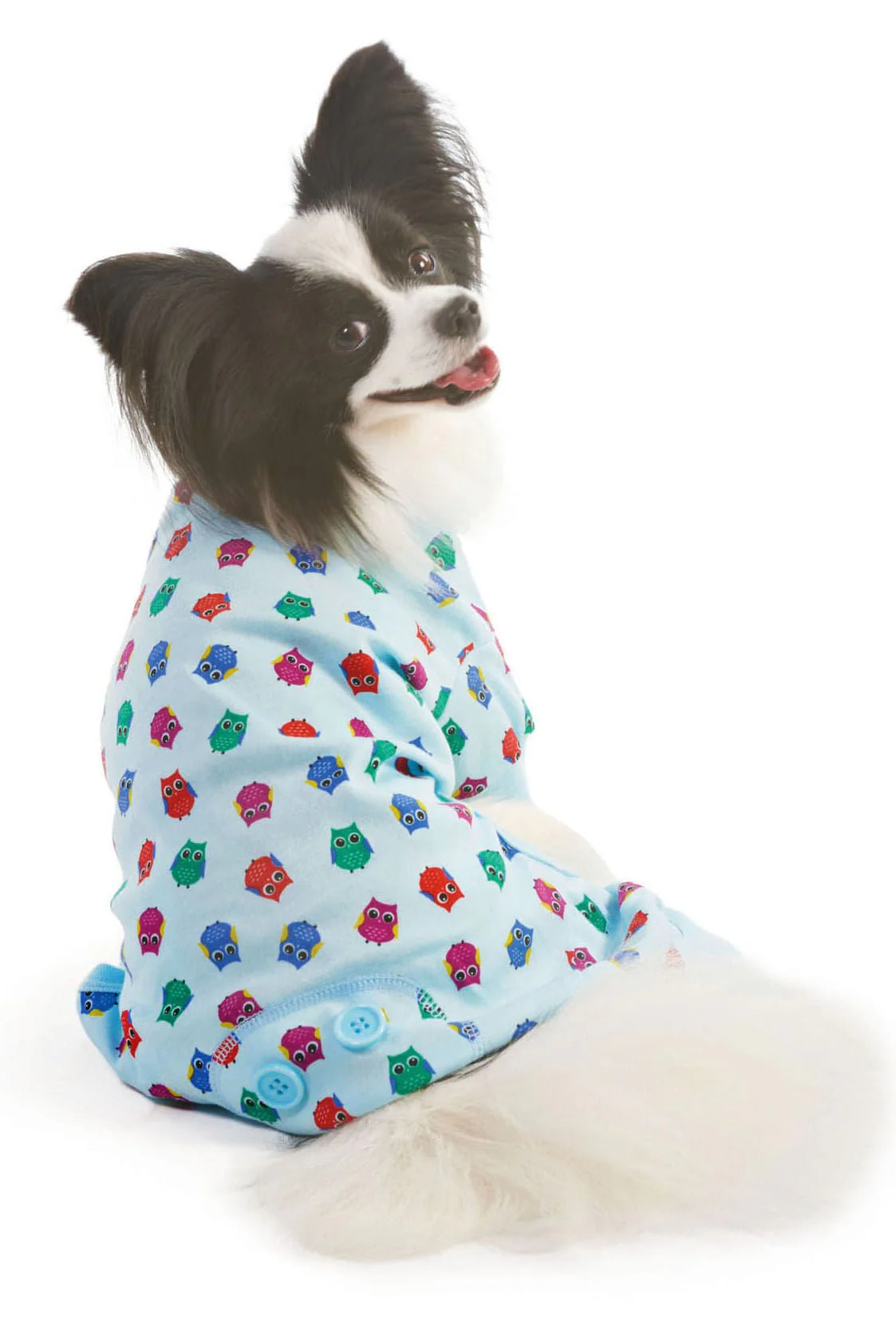 Owl Print Dog Pajamas, Blue - Healthber