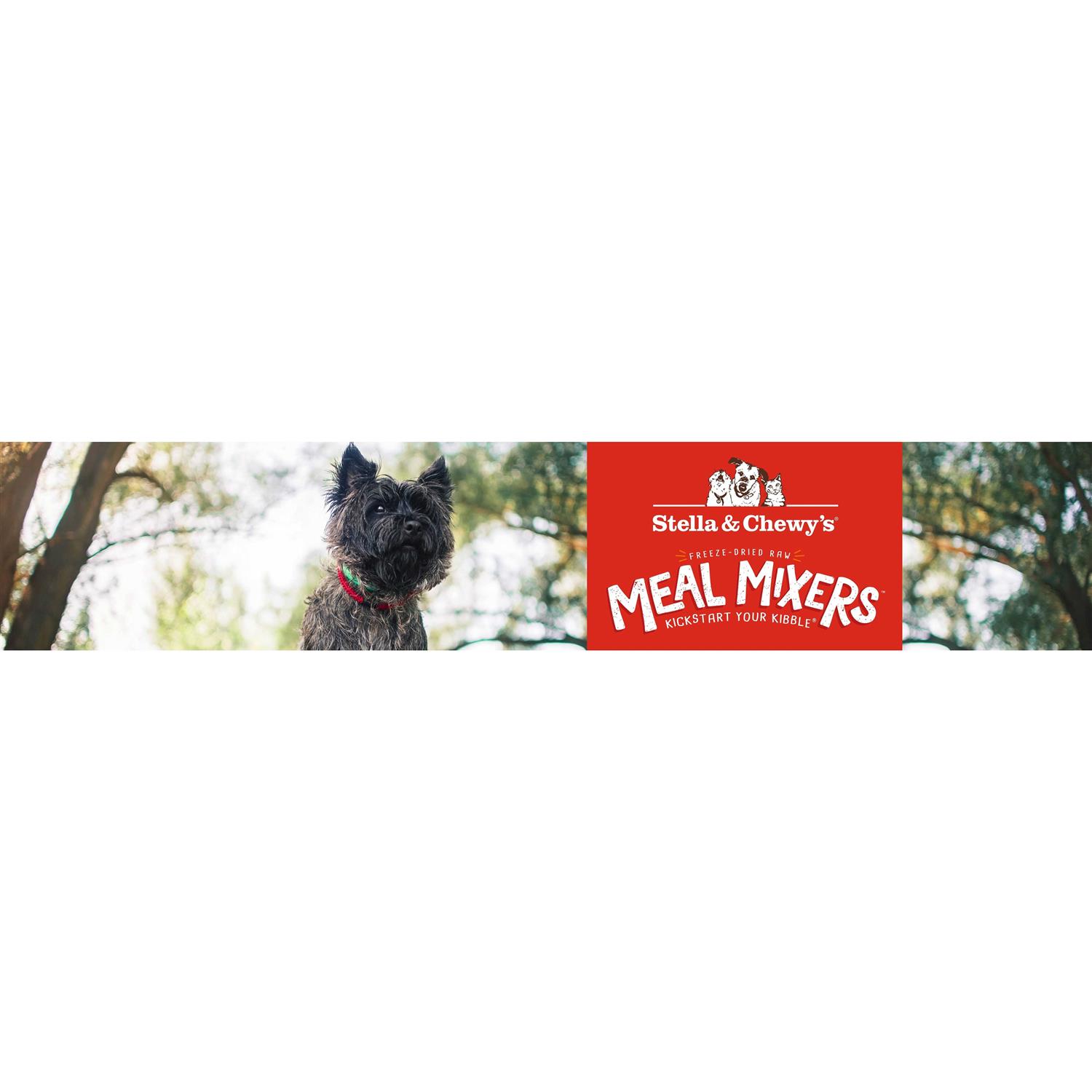 Stella & Chewy’s Freeze-Dried Dog Food Meal Mixer Superblends Cage-Free Chicken Recipe - Healthber