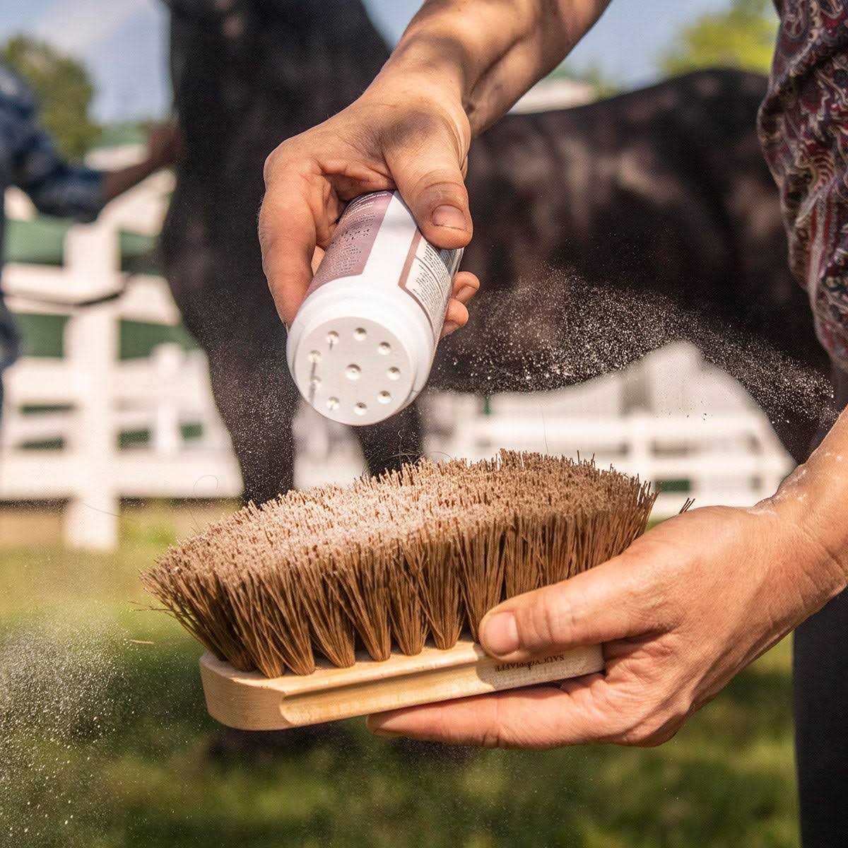 Equiderma Daily Defense Dry Shampoo - Healthber