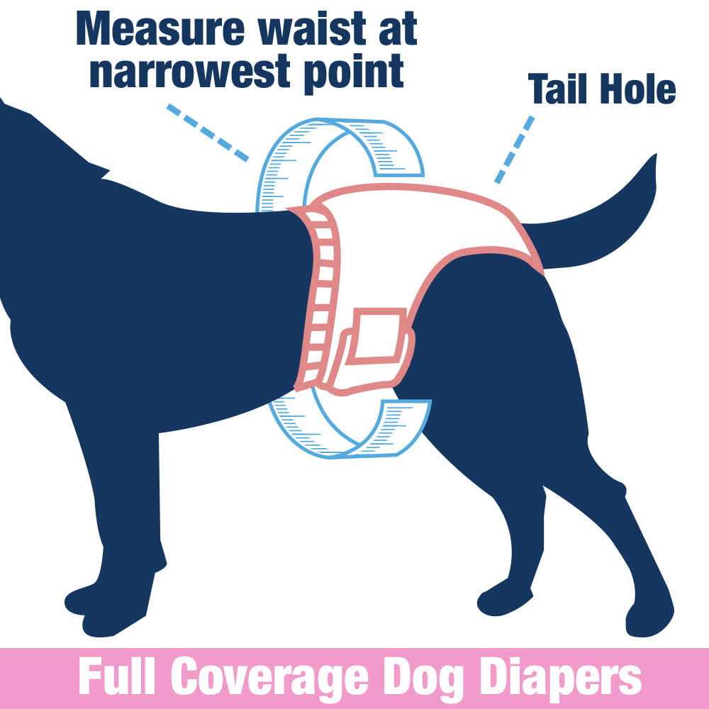 ValueFresh Female Dog Disposable Diapers - Healthber