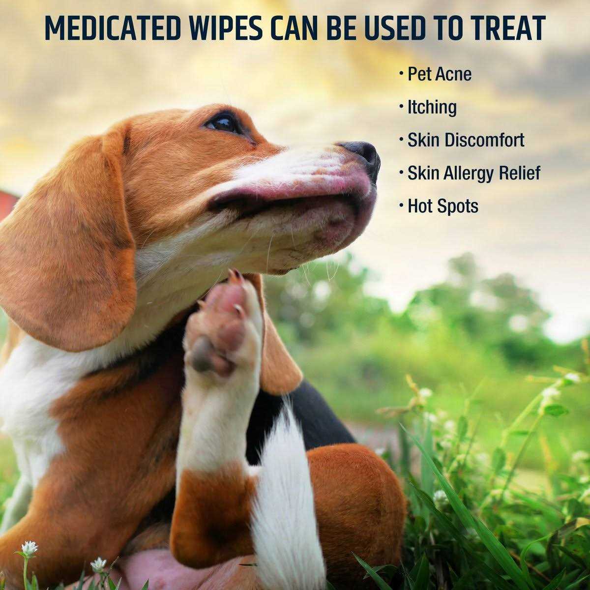 Pet MD Chlorhexidine Dog & Cat Wipes - Healthber