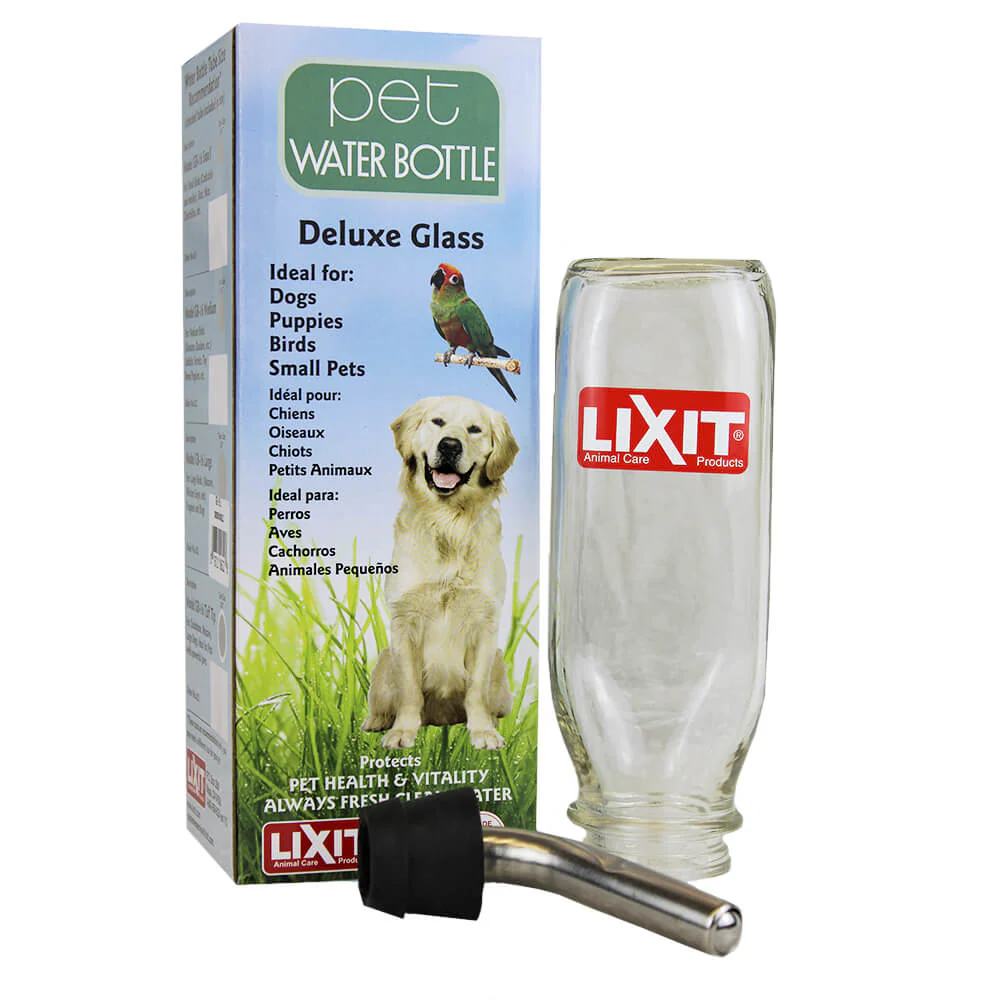 Lixit Glass Water Bottle, 16 oz with Tube - Healthber