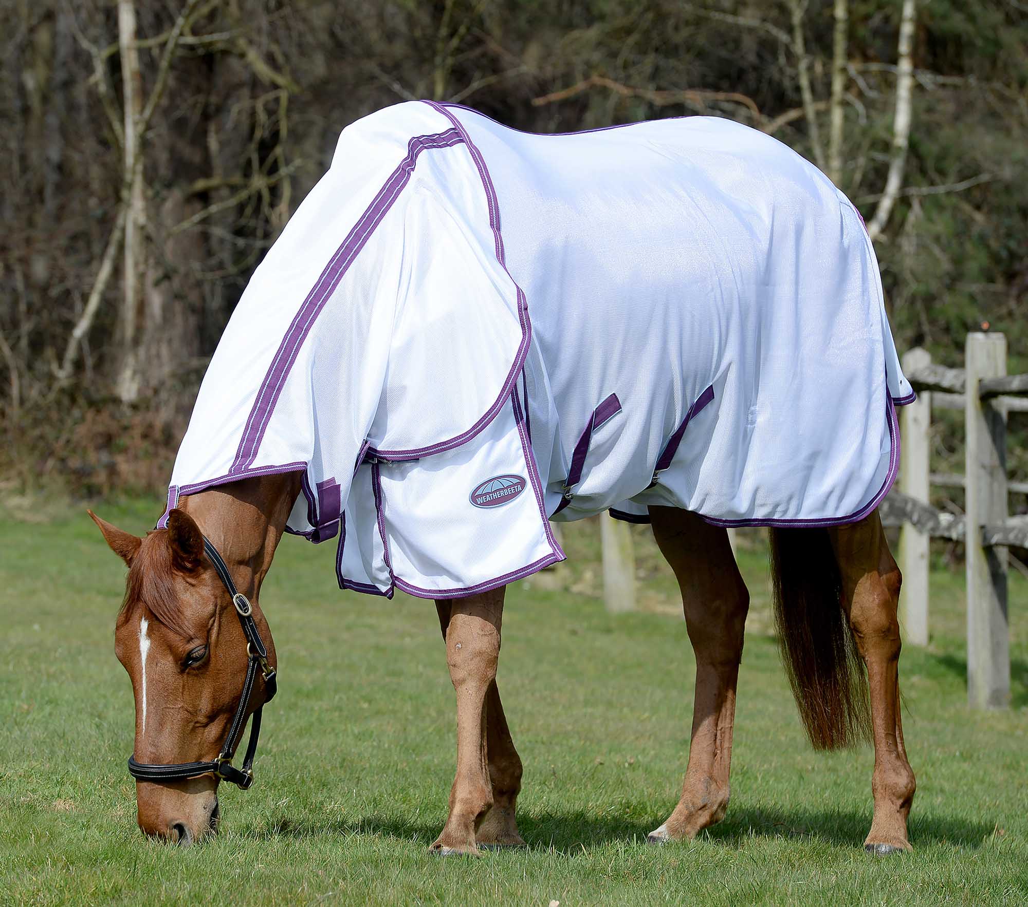 Weatherbeeta ComFITec Airflow II Detach-a-Neck Horse Fly Sheet - Healthber