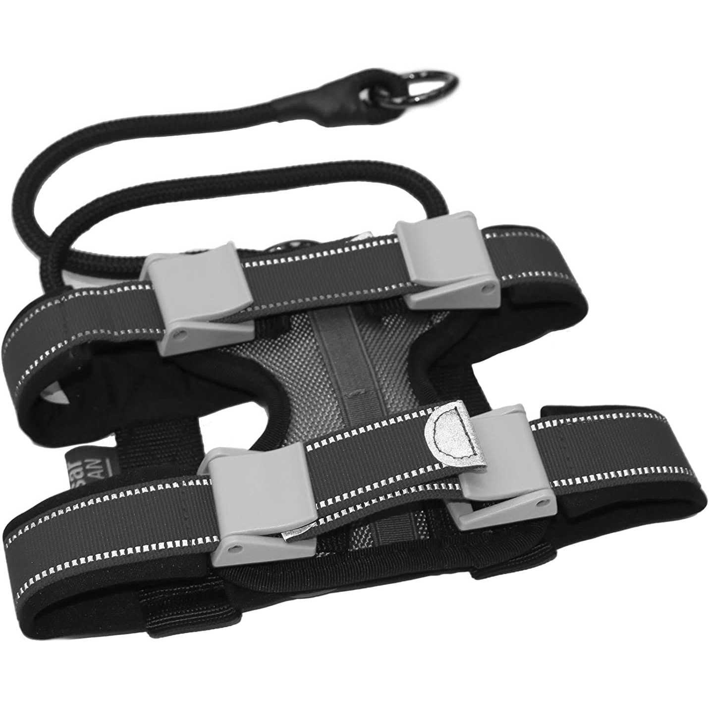 Cesar Millan Pack Leader Collar Training Collar of the Dog Whisperer - Healthber