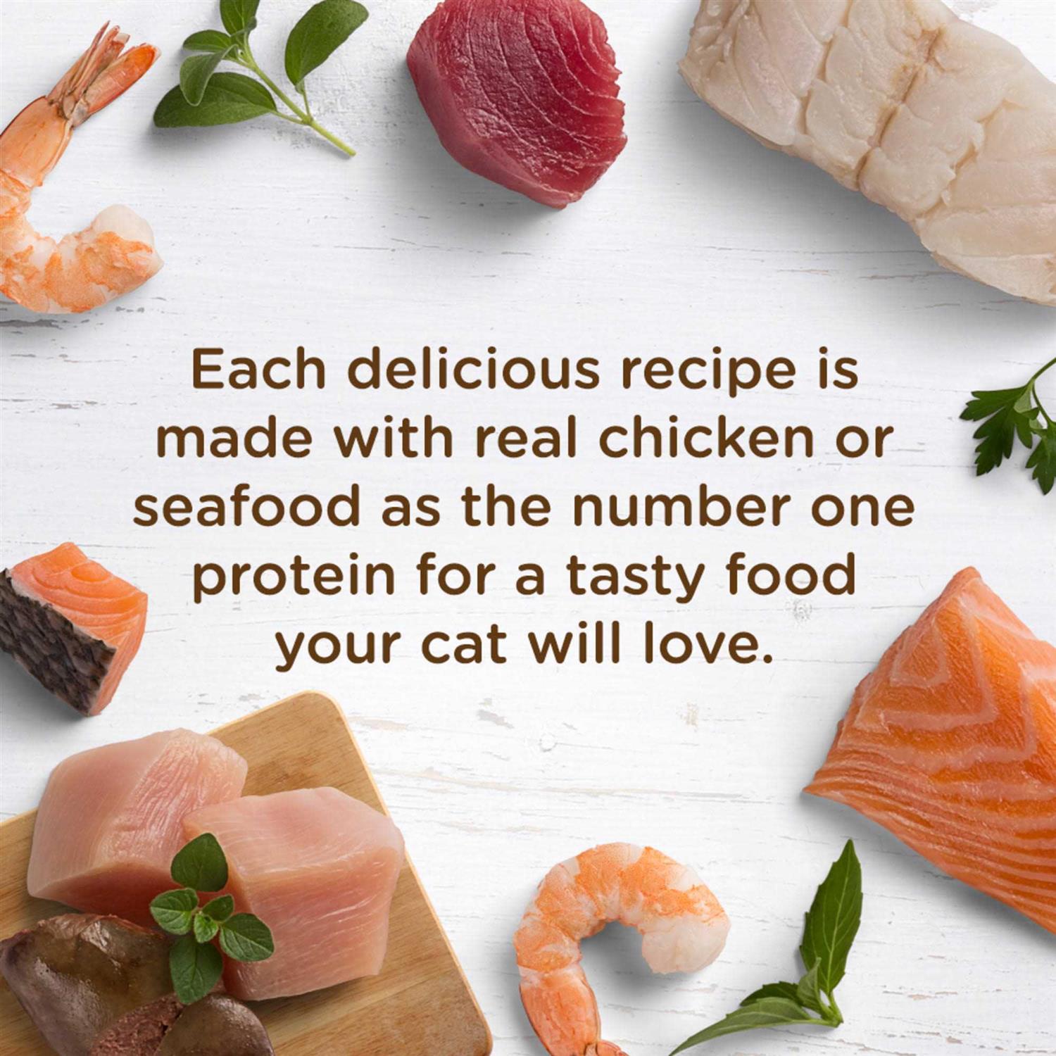 Rachael Ray Nutrish Wet Cat Food, Ocean Fish-A-Licious – 2.8 oz cup - Healthber