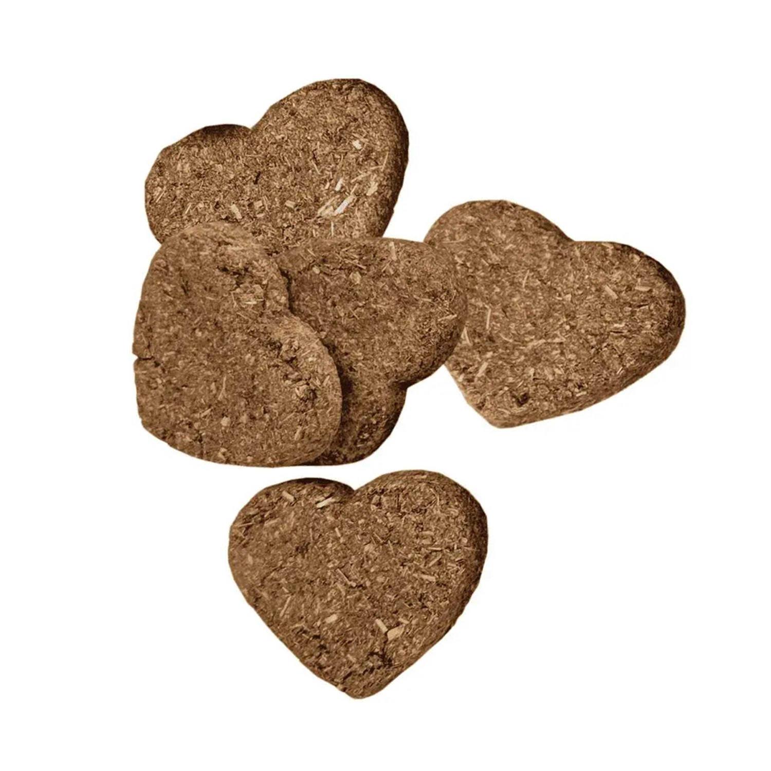 Oxbow Simple Rewards Baked Treats - Healthber