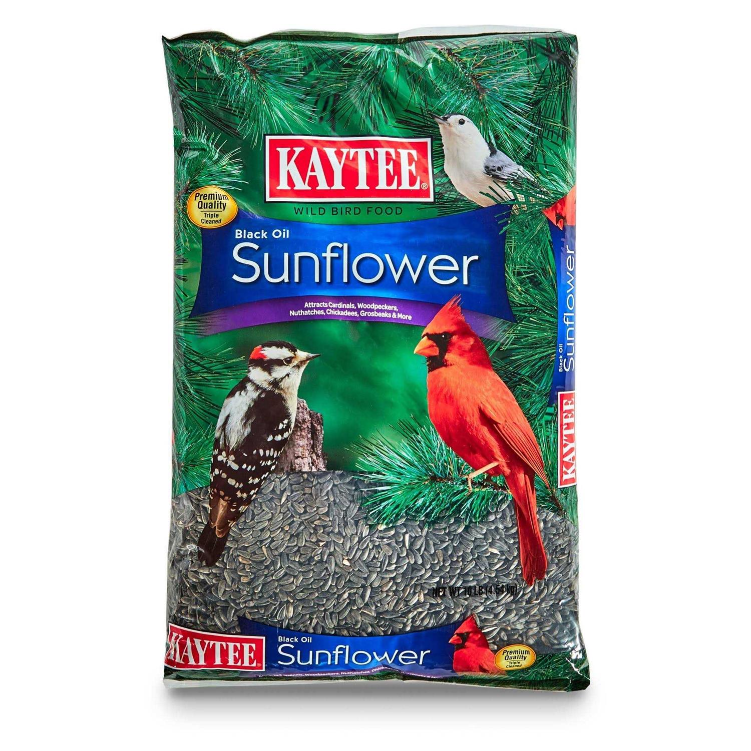 Kaytee Black Oil Sunflower Wild Bird Food - Healthber