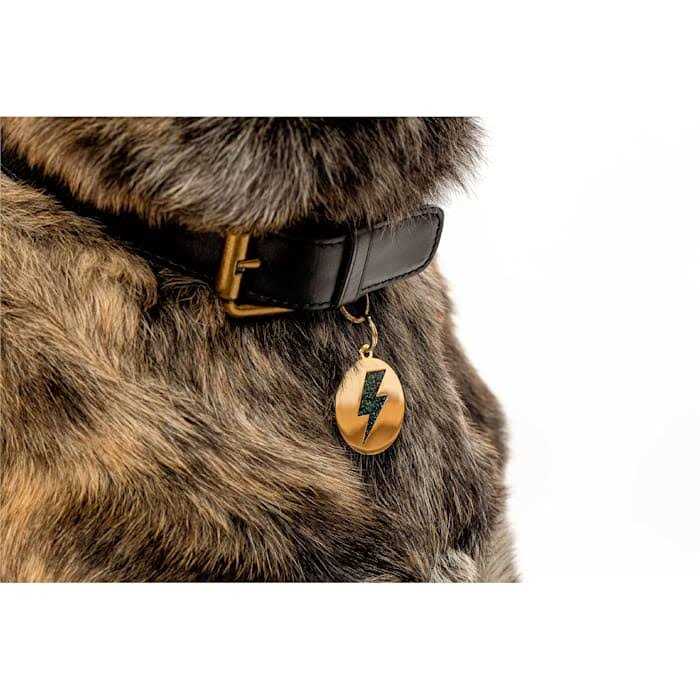 Two Tails Pet Company Lightning Bolt Pet ID Tag - Healthber