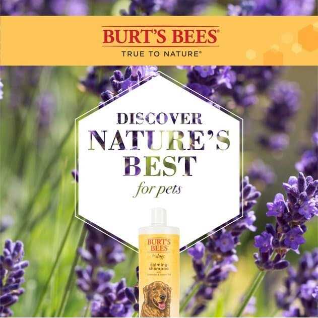 Burt’s Bees for Dogs Shampoo - Healthber