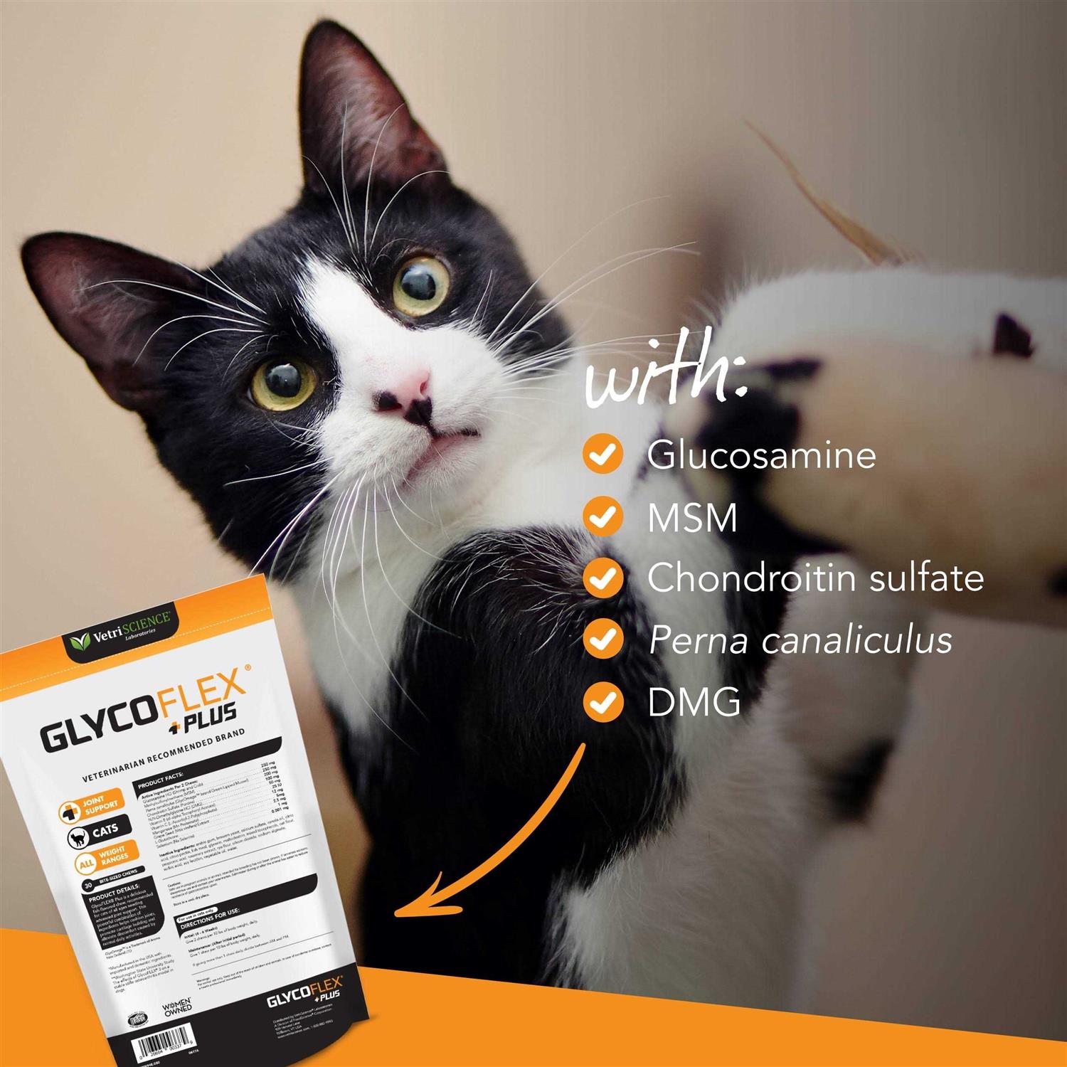 VetriScience GlycoFlex Plus Hip & Joint Support for Cats - Healthber