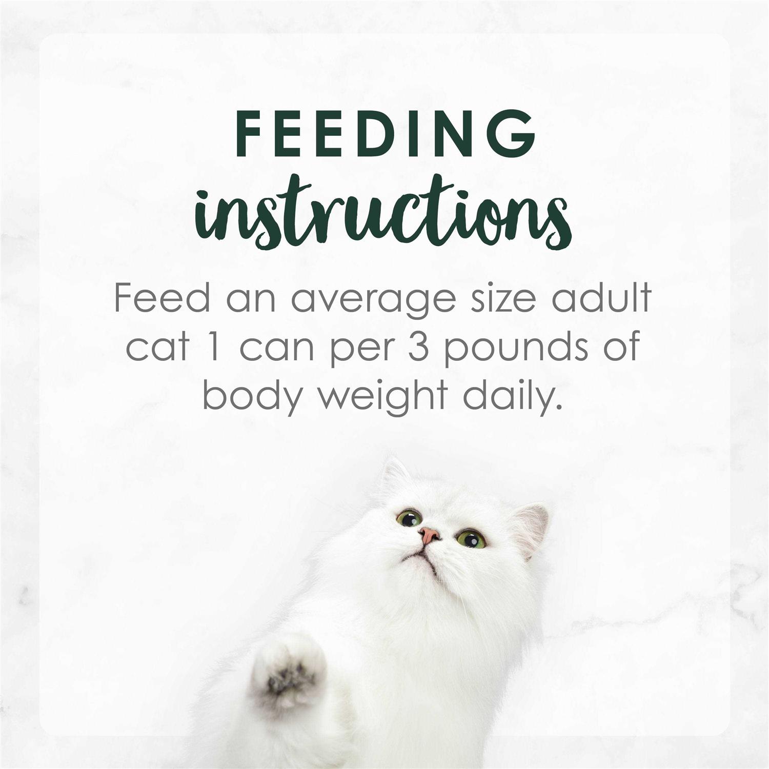 Purina Fancy Feast Gravy Wet Cat Food - Healthber
