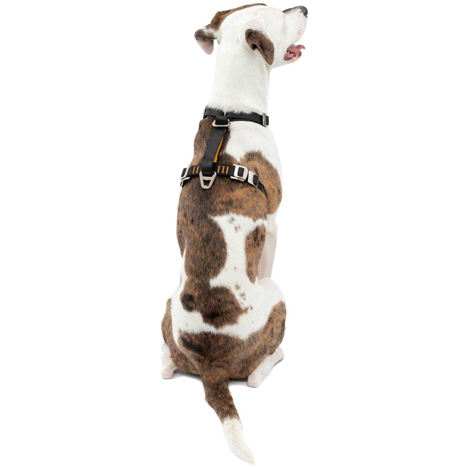 Kurgo Tru-Fit Enhanced Strength Smart Dog Harness - Healthber