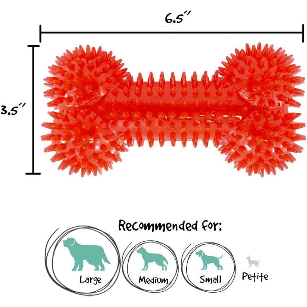 Gnawsome Squeaker Bone Dog Toy - Healthber