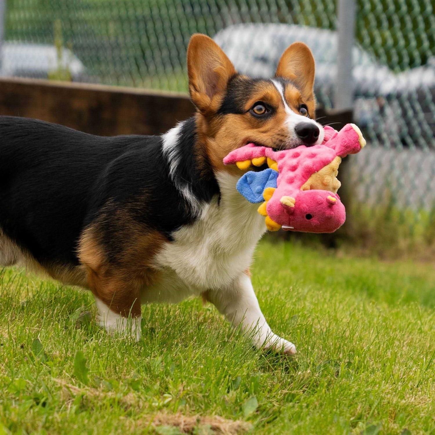goDog Chew Guard Dog Toy - Healthber