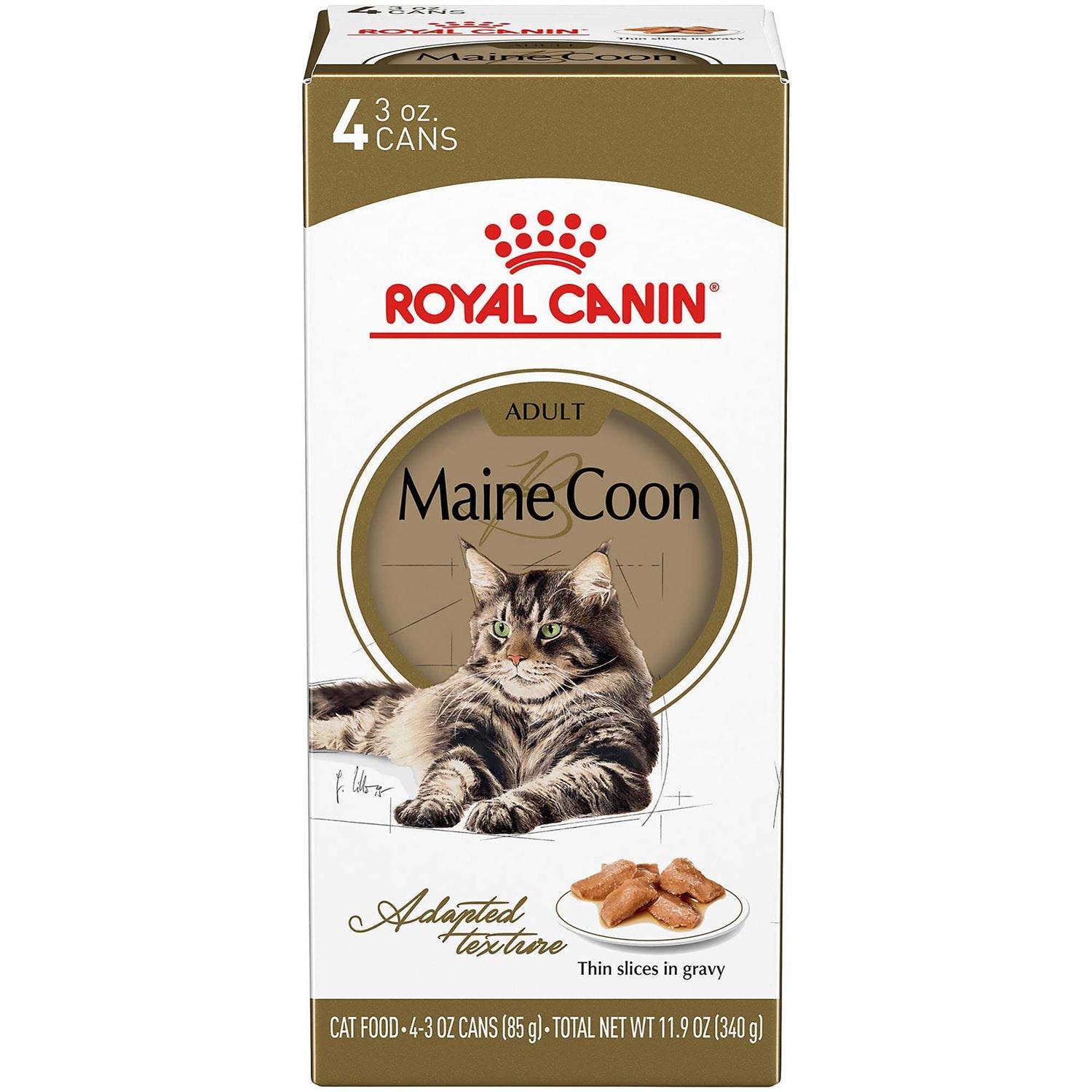 Royal Canin Maine Coon Thin Slices in Gravy Canned Cat Food - Healthber