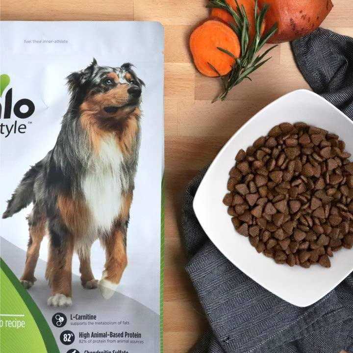 Nulo Freestyle Grain-Free Senior Trout & Sweet Potato Dry Dog Food - Healthber