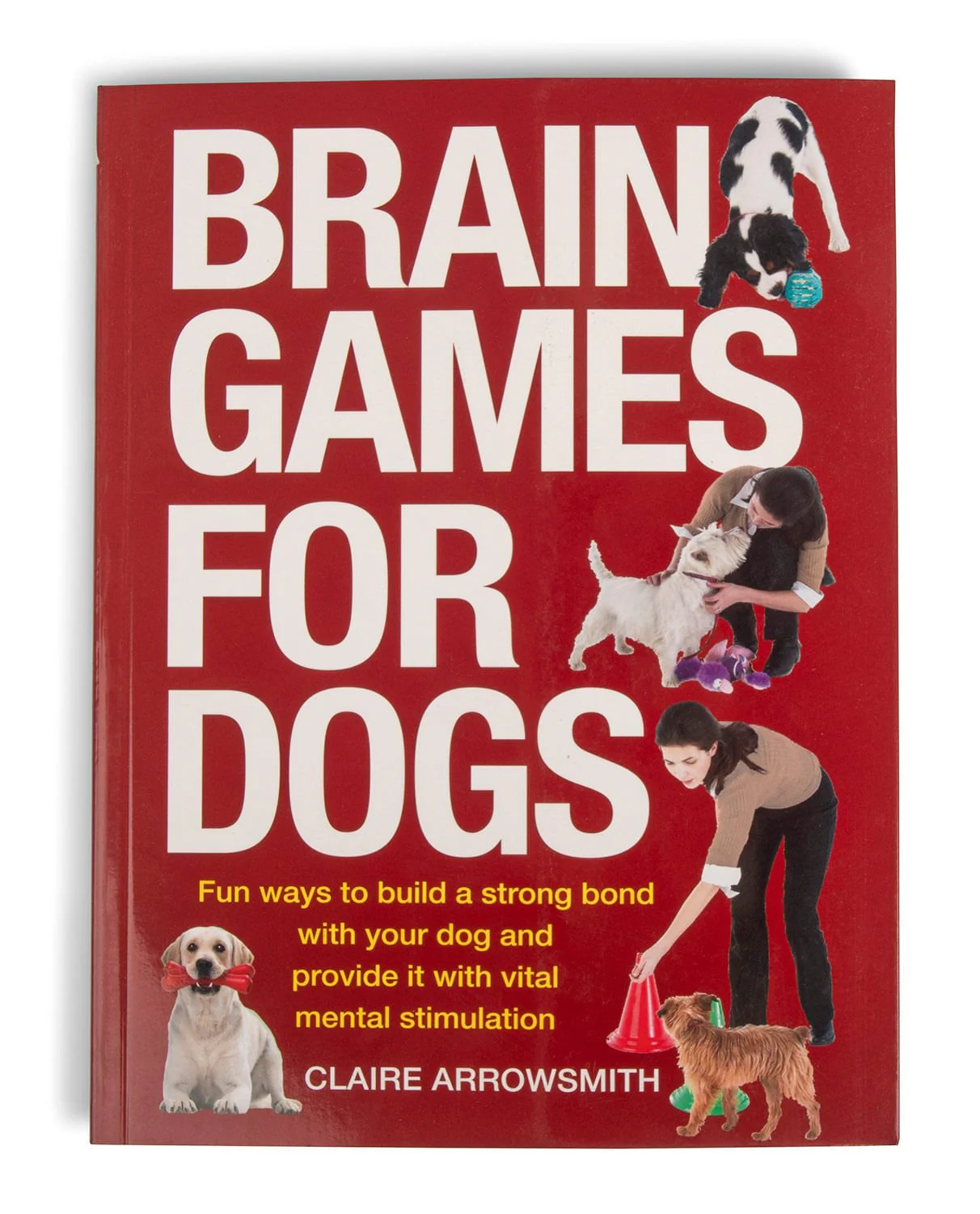 Brain Games For Dogs - Healthber