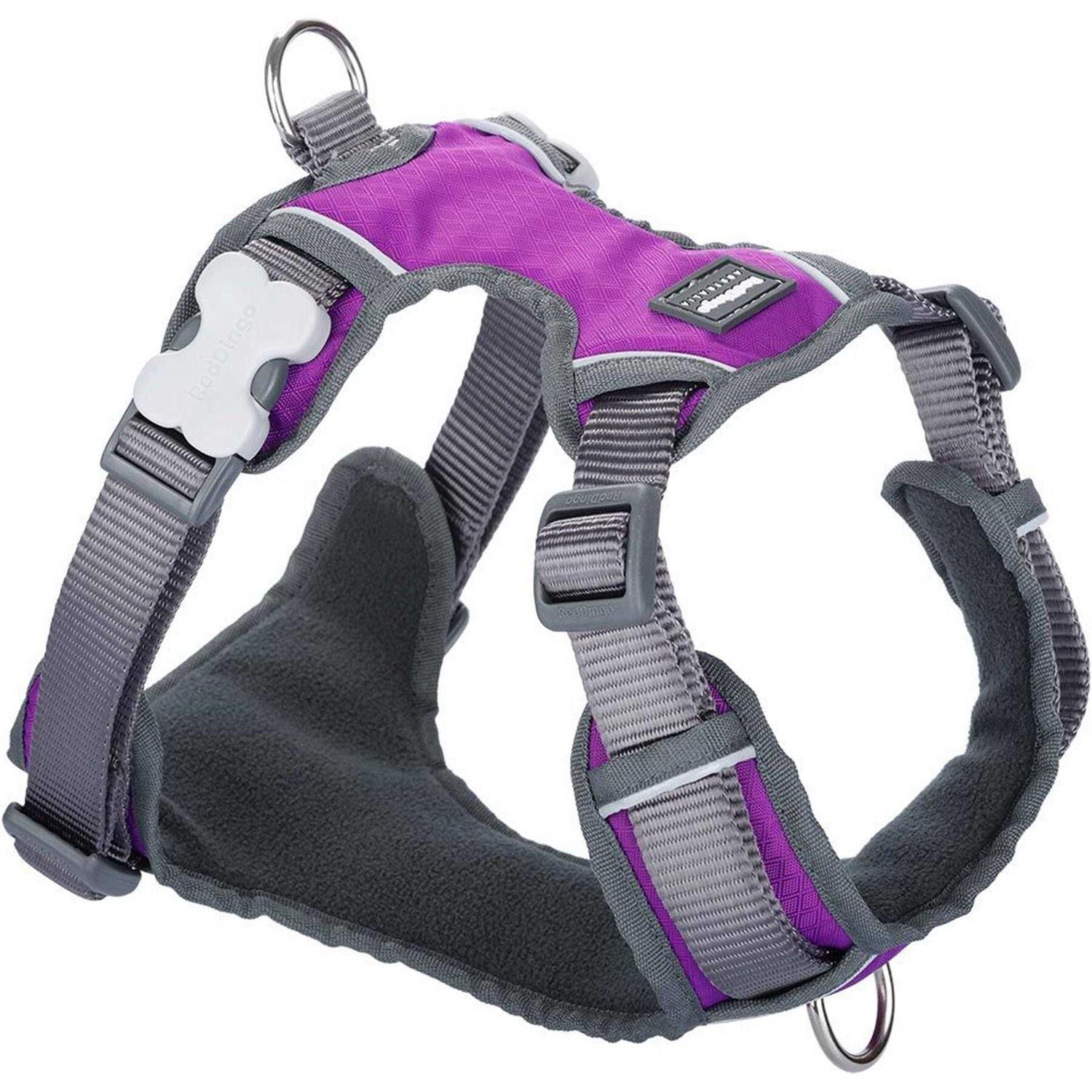 Dog Harness Red Dingo Padded - Healthber