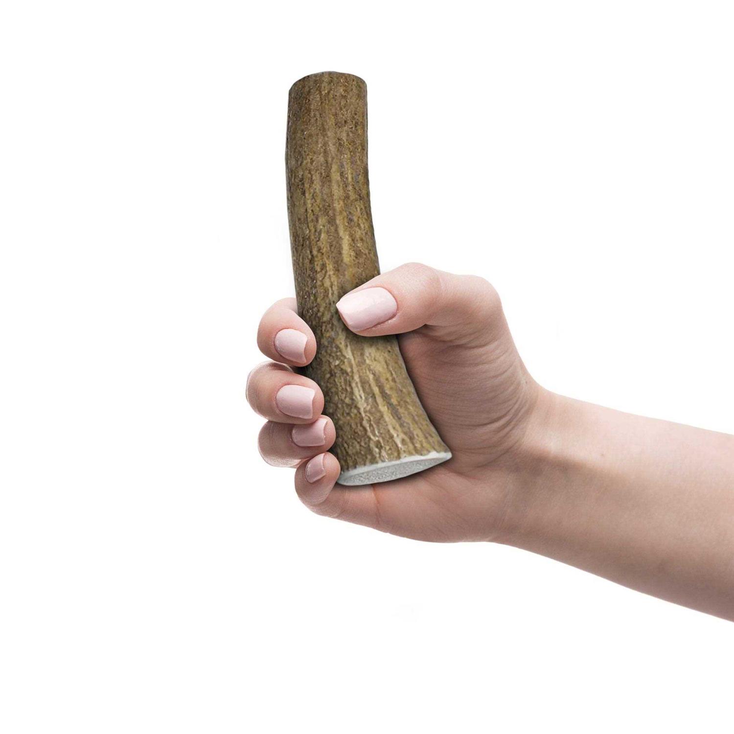 K9warehouse Elk Antlers for Dogs Made in USA - Healthber