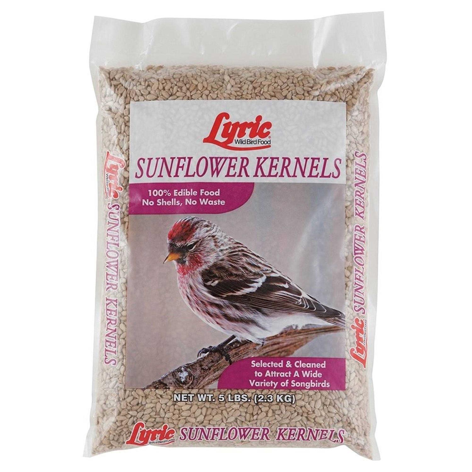 Lyric Sunflower Kernels - Healthber