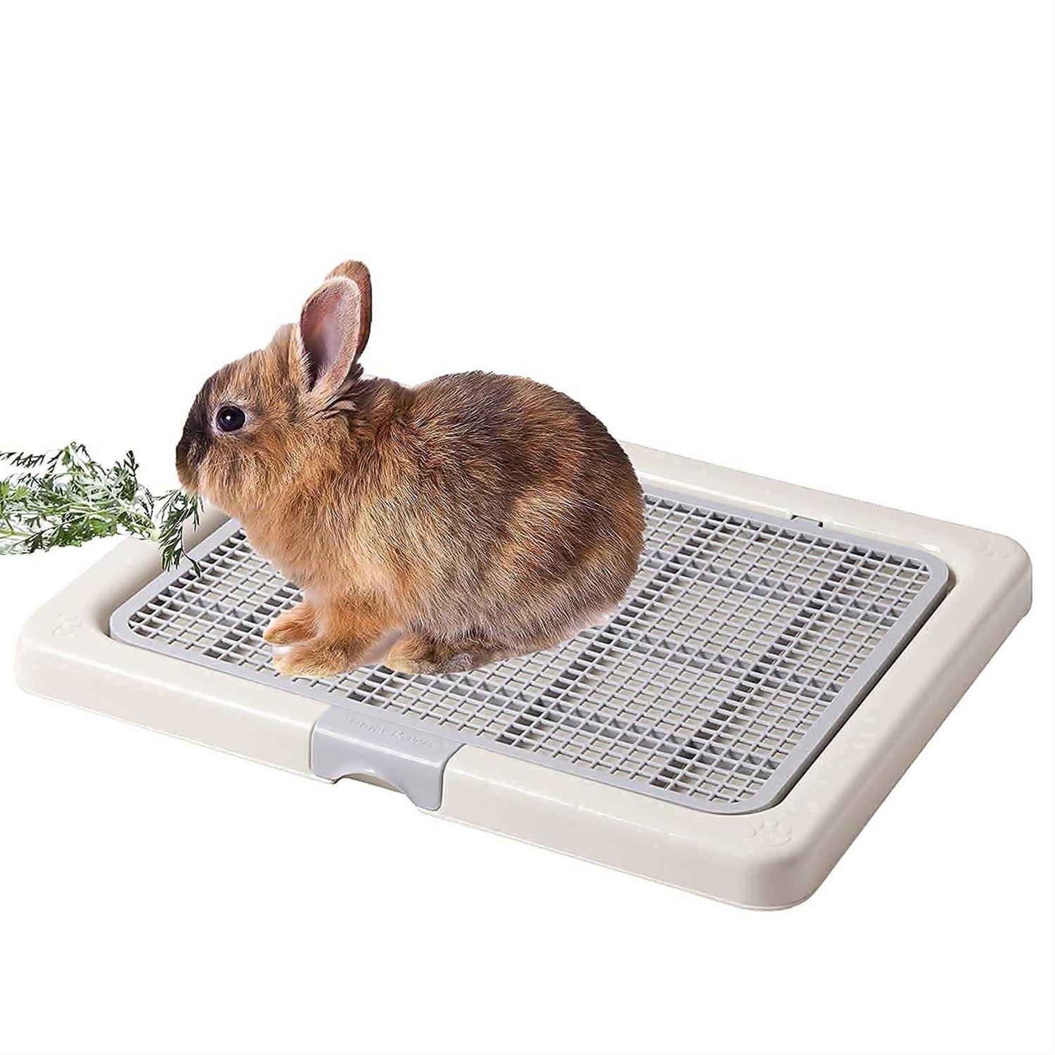 Smart Paws 3 Sizes Small Puppy Dog Toilet,Poodles Training Tray,Yorkie Pet Pads Holder - Healthber