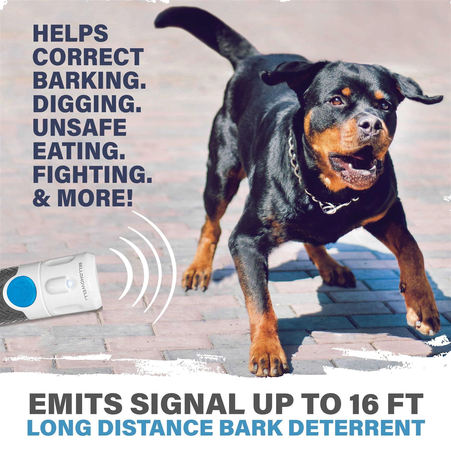 Paw Perfect Anti-Bark Pet Trainer - Healthber