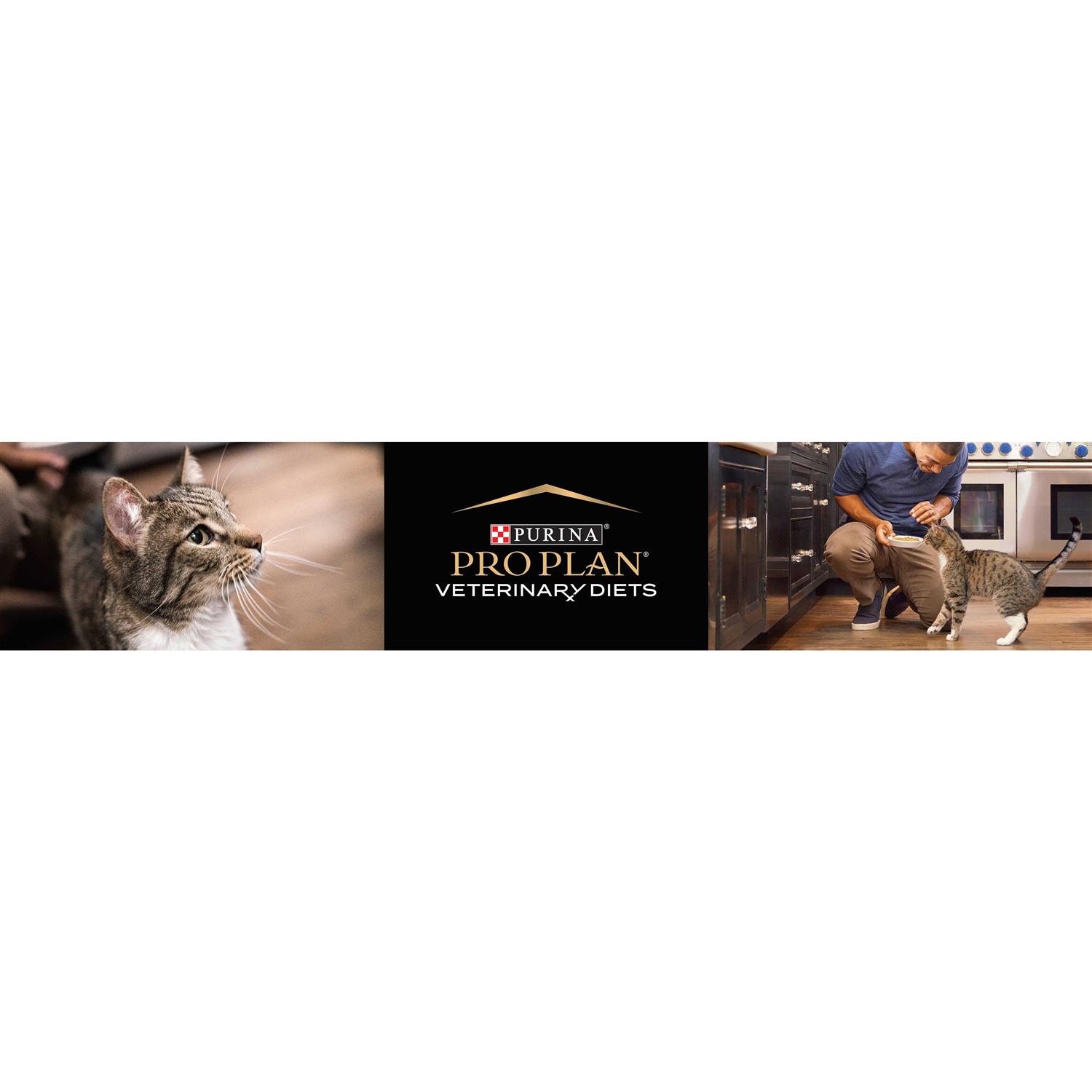 Purina Pro Plan Veterinary Diets DM Dietetic Management Feline Formula Dry Cat Food - Healthber