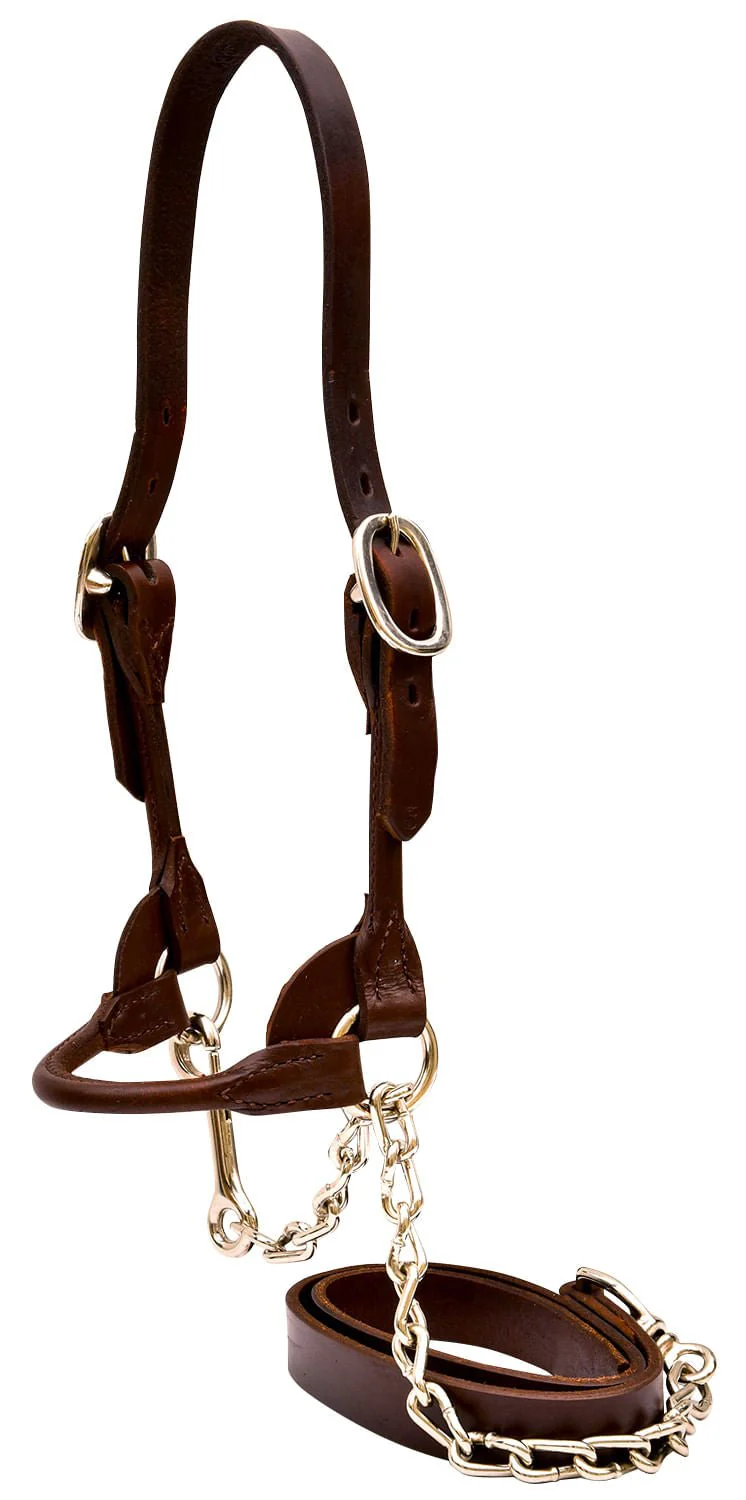 Weaver Leather Classic Rounded Cattle Show Halter, Small - Healthber