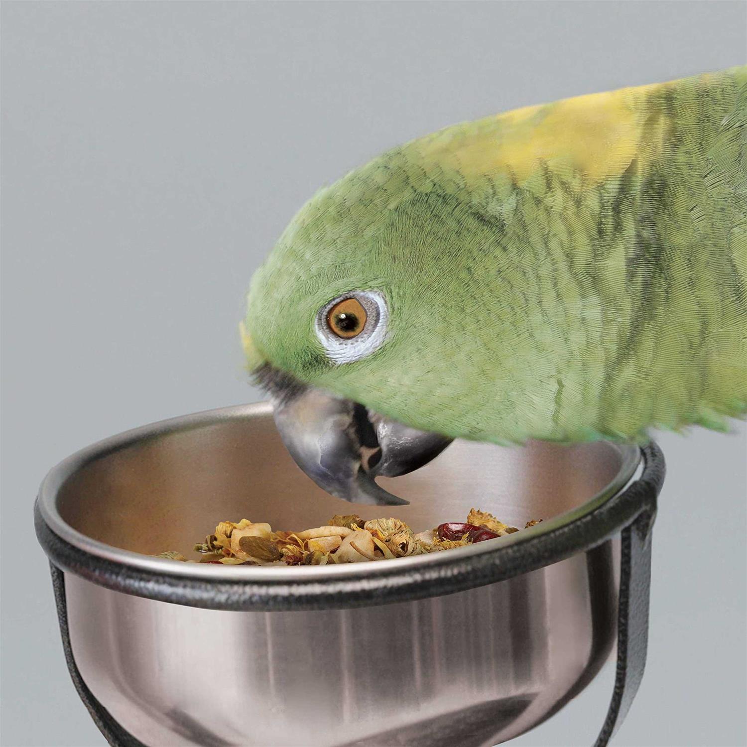 Kaytee EZ Care T Bird Stand - Healthber