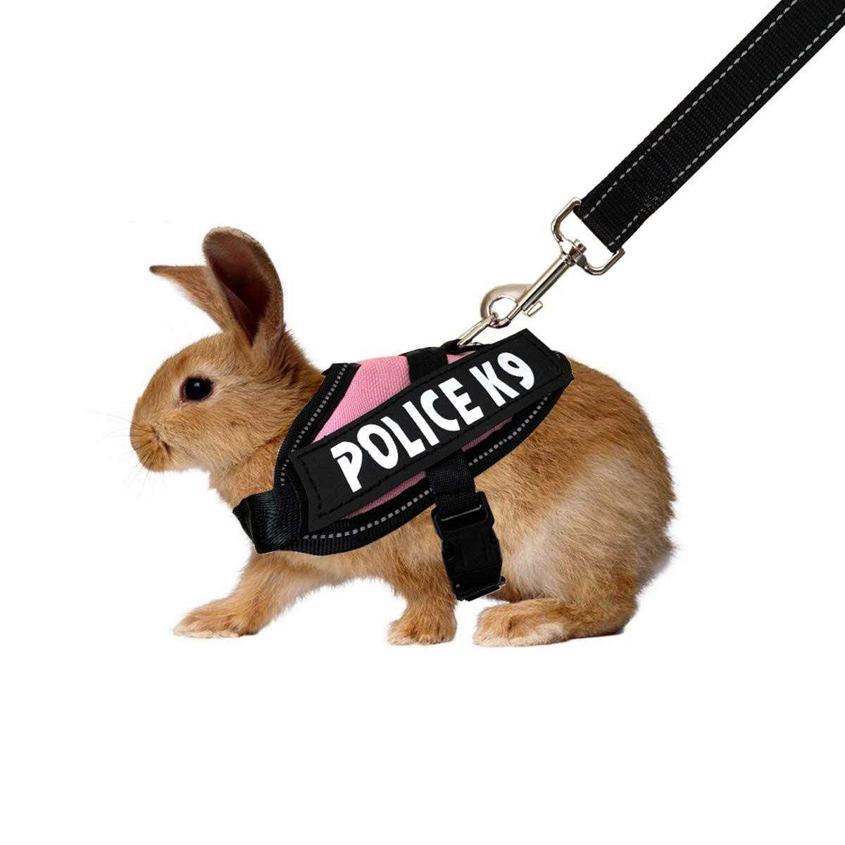 Vehomy Rabbit Harness with Leash for Bunny Rabbits Cats - Healthber