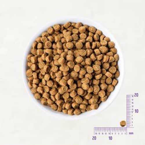 Wellness CORE Natural Grain Free Small Breed Dry Puppy Food - Healthber