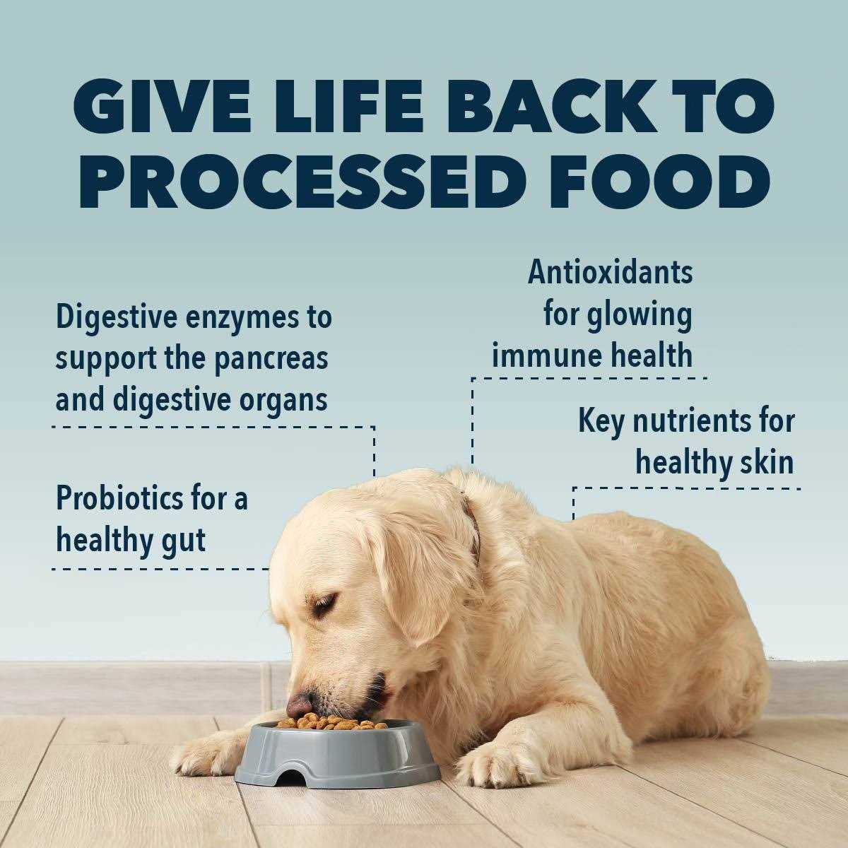 Four Leaf Rover Kibble Fixer Dog Food Topper - Healthber