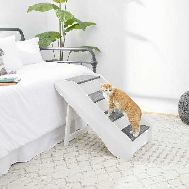 Frisco Deluxe Foldable Wood Carpeted Pet Stairs - Healthber