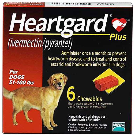 Heartgard Plus Chewables for Dogs - Healthber