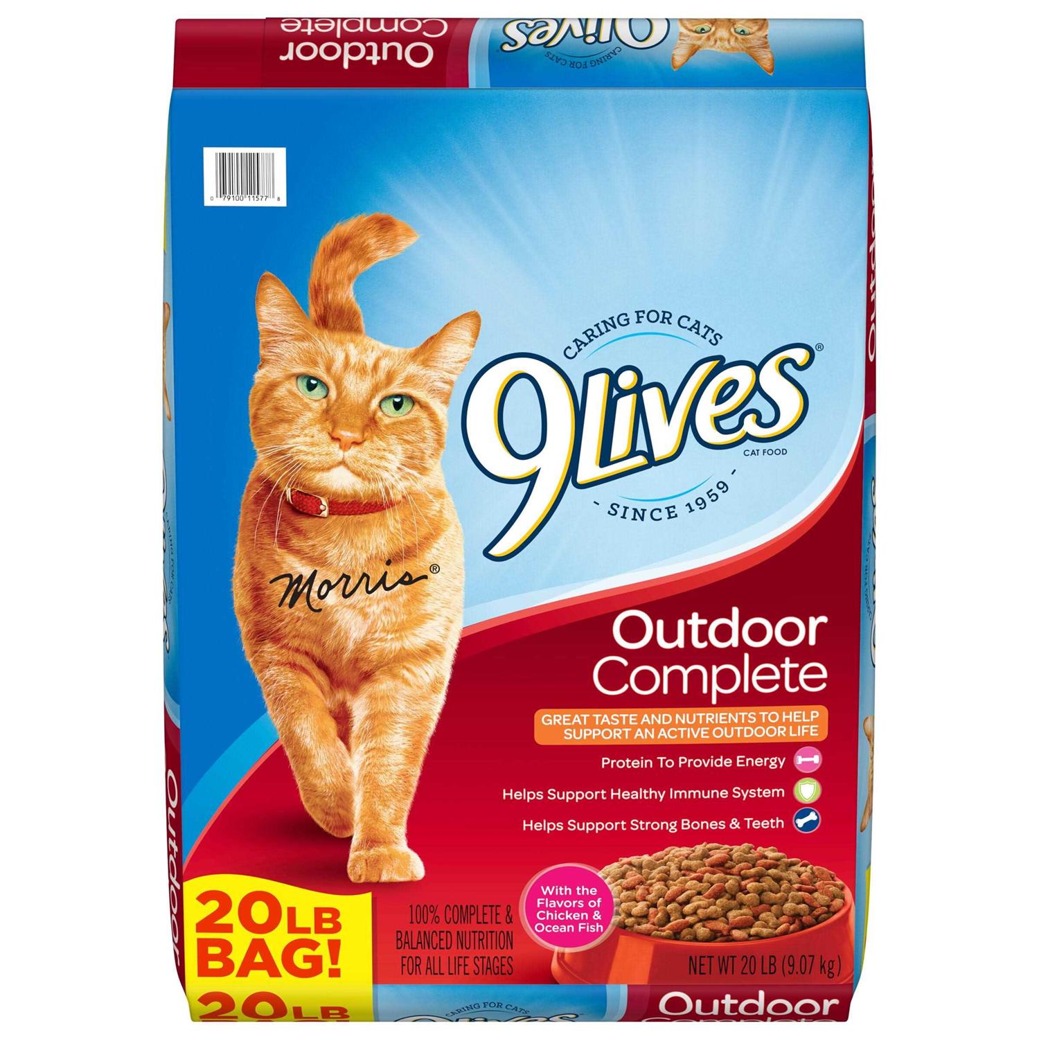 9Lives Outdoor Complete Dry Cat Food - Healthber