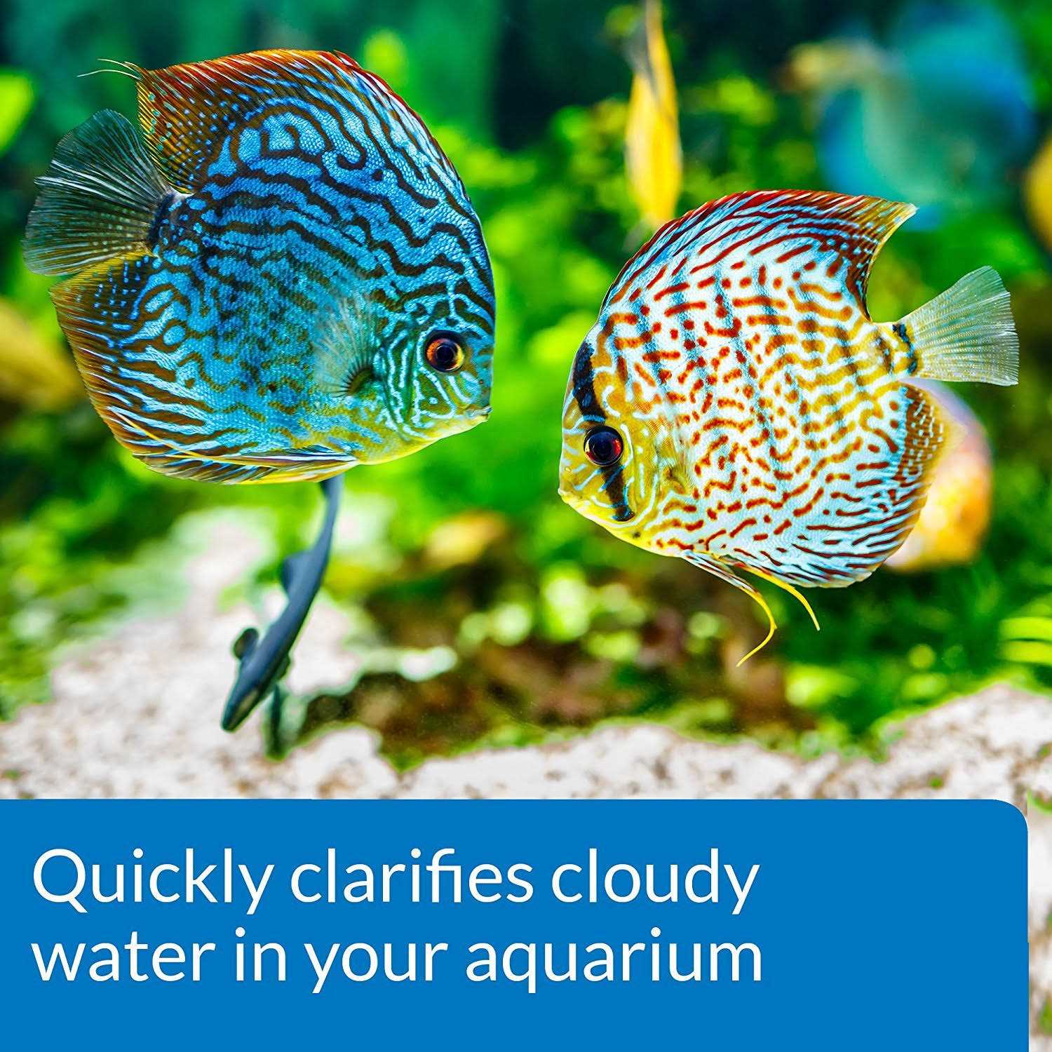 API Aquarium Accu-Clear - Healthber