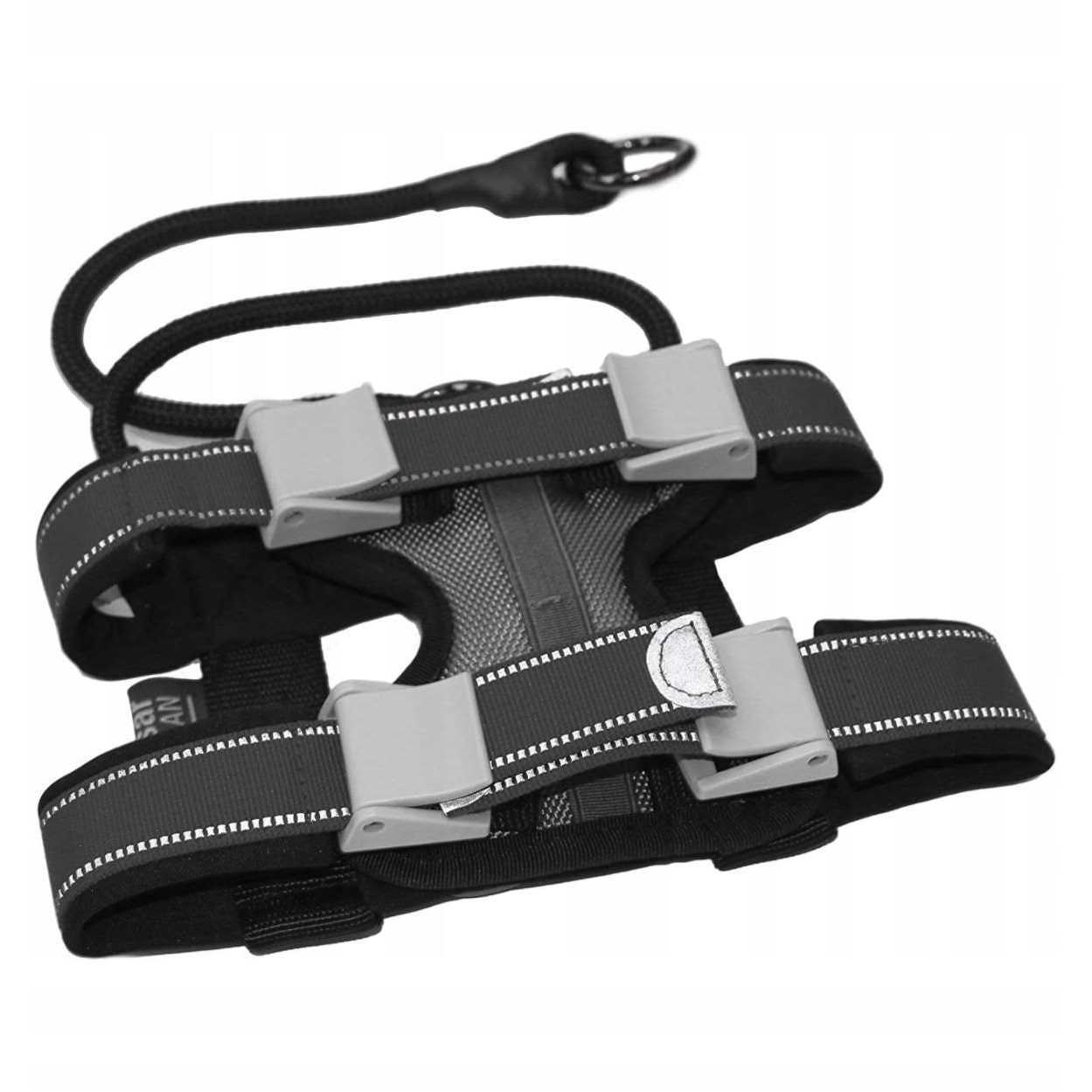 Cesar Millan Pack Leader Collar Training Collar of the Dog Whisperer - Healthber