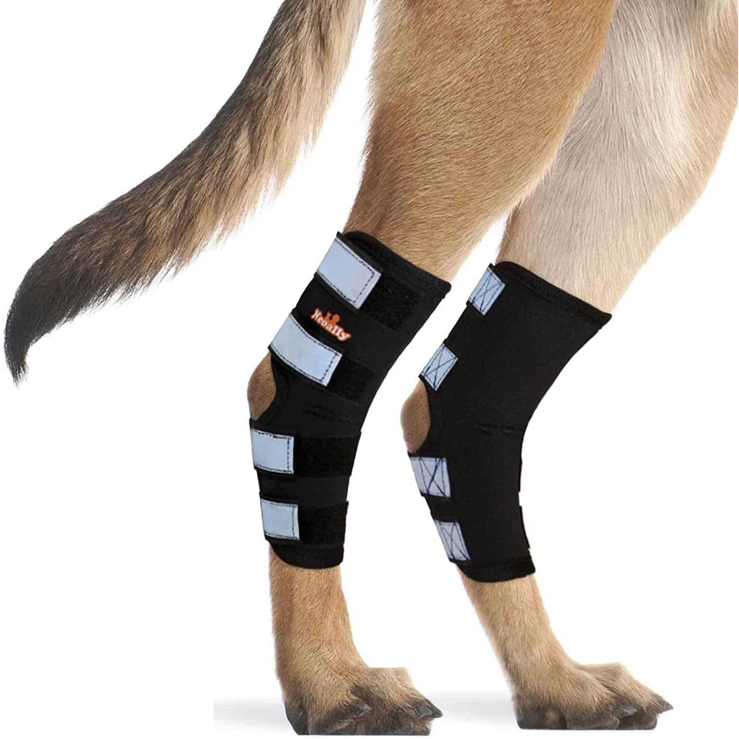 Neoally Dog Hind Leg Brace Canine Rear Leg Support with Safety Reflective Straps for Joint Injury - Healthber