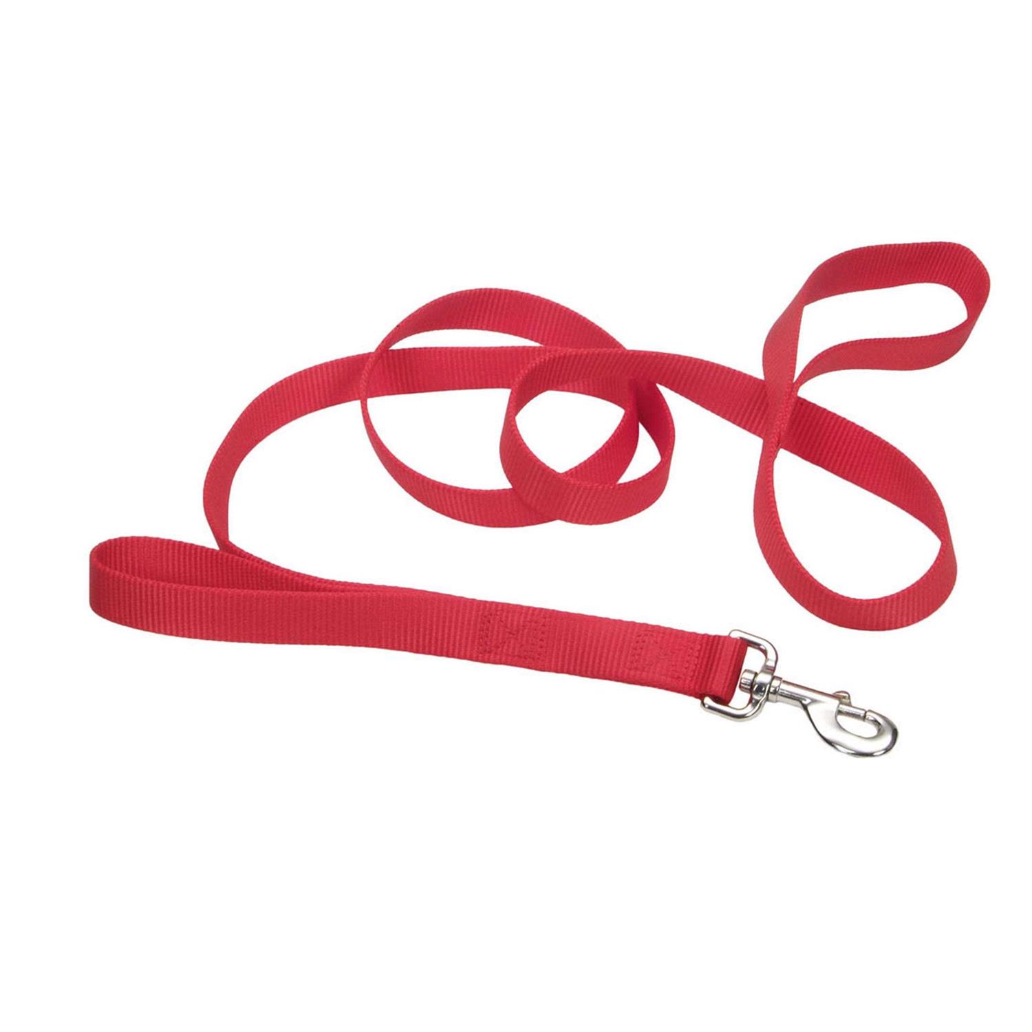 Coastal Double-Ply Nylon Traffic Leash - Healthber