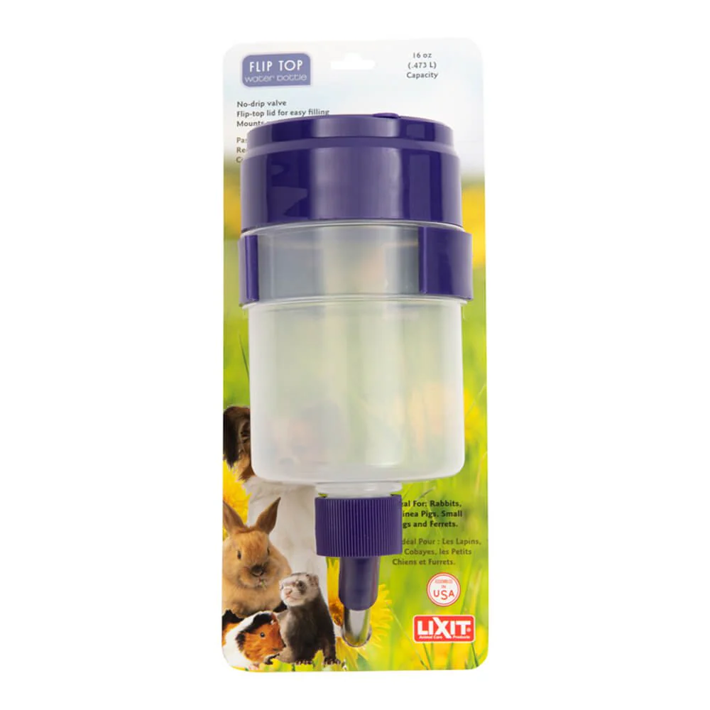 Lixit Quick Lock Flip Top Water Bottle - Healthber