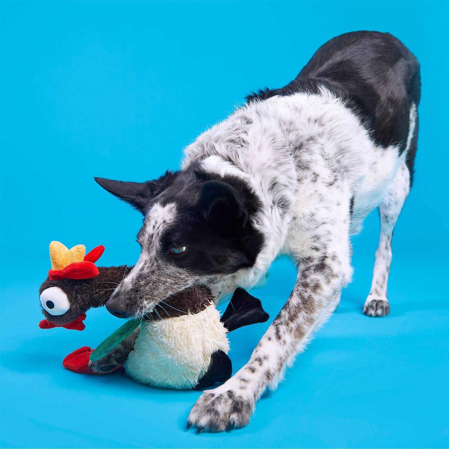 Bark Cock-a-Doodle-Chew Dog Toy - Healthber