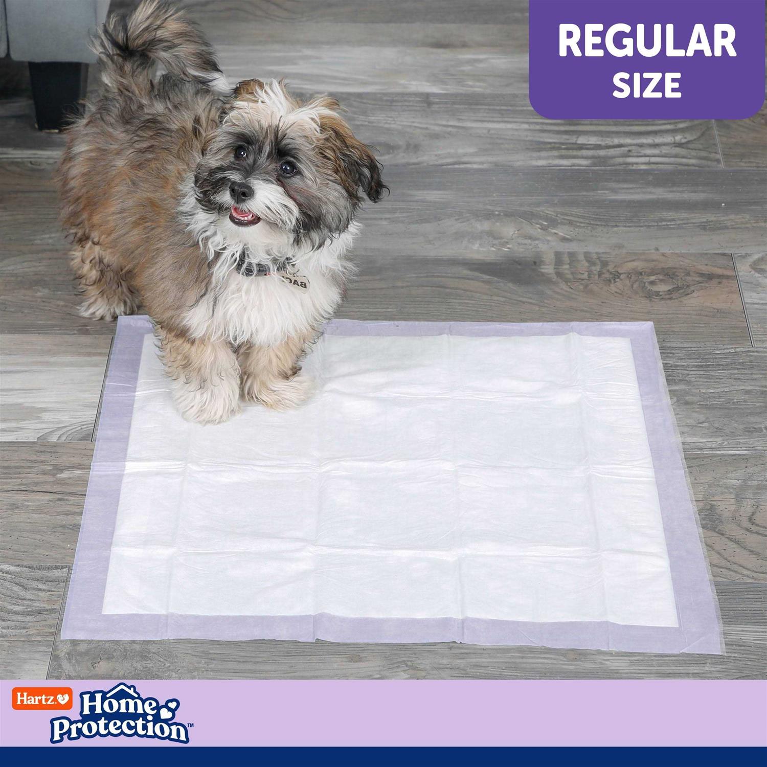Hartz Home Protection Lavender Scent Odor Eliminating Dog Pads - Healthber