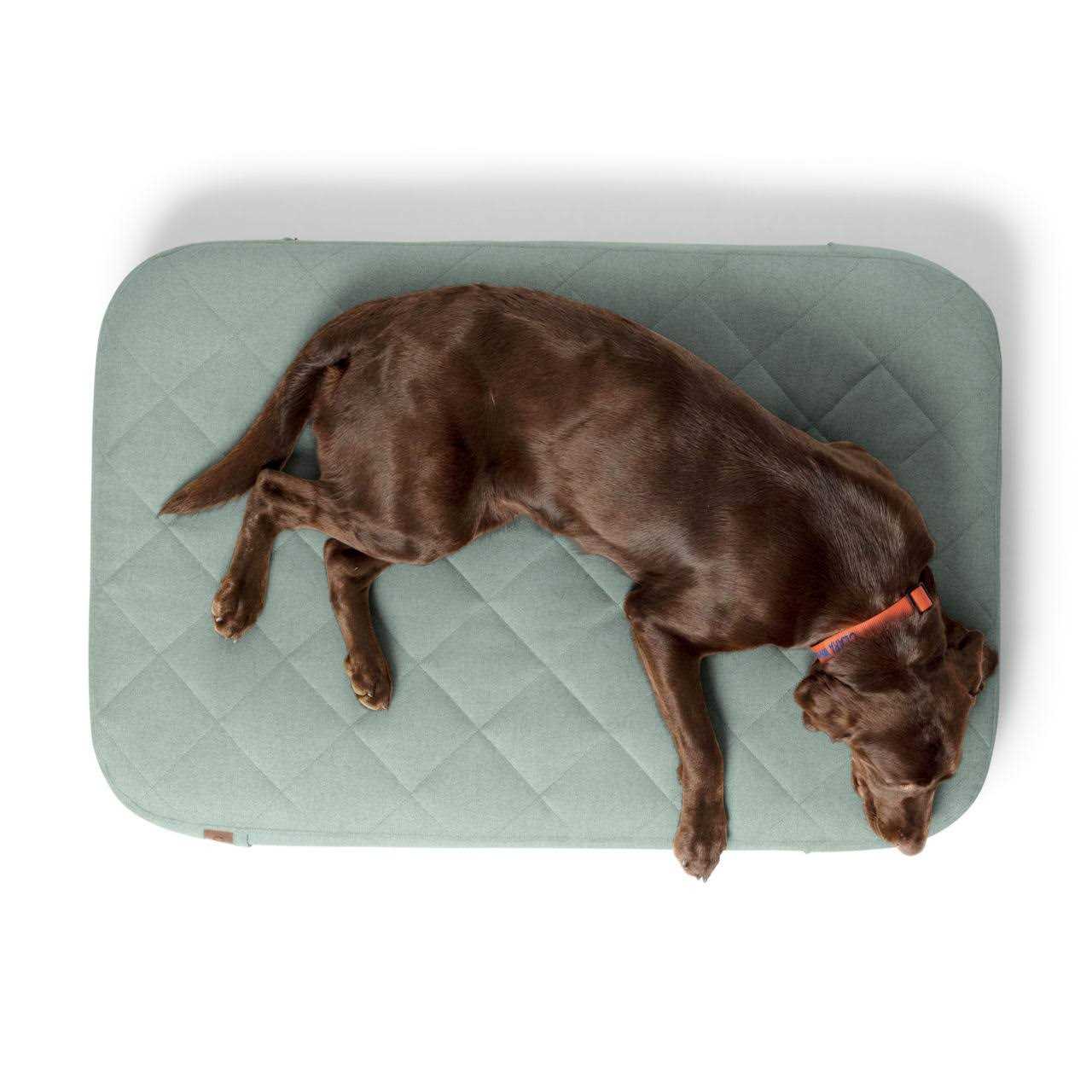Orvis RecoveryZone Lounger Dog Bed - Healthber